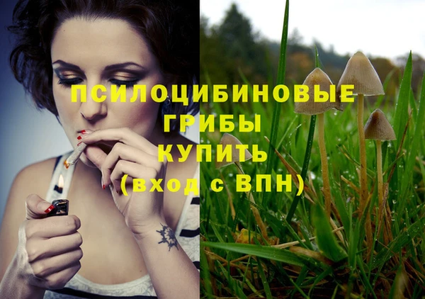 таблы Алзамай