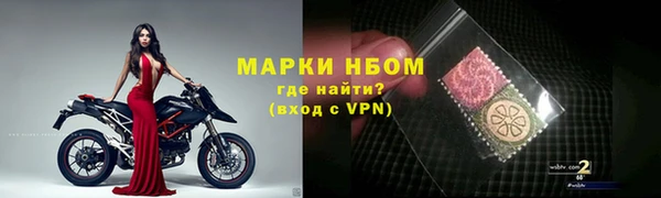 прущие грибы Аркадак