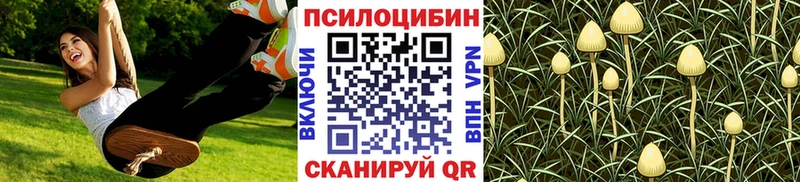 Галлюциногенные грибы ЛСД  Минусинск 